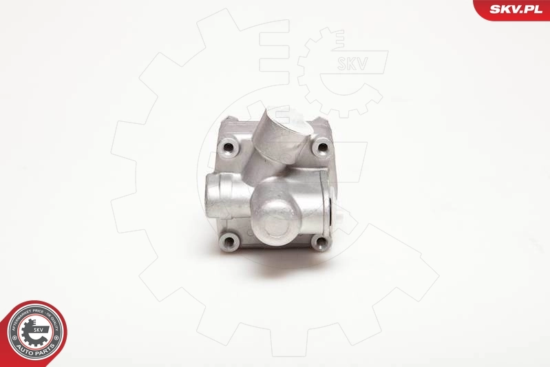 Hydraulic Pump, steering 10SKV017