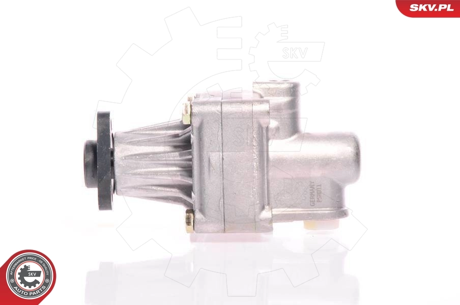 Hydraulic Pump, steering 10SKV011