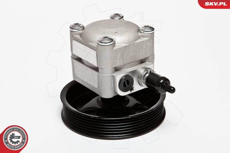 Hydraulic Pump, steering 10SKV010