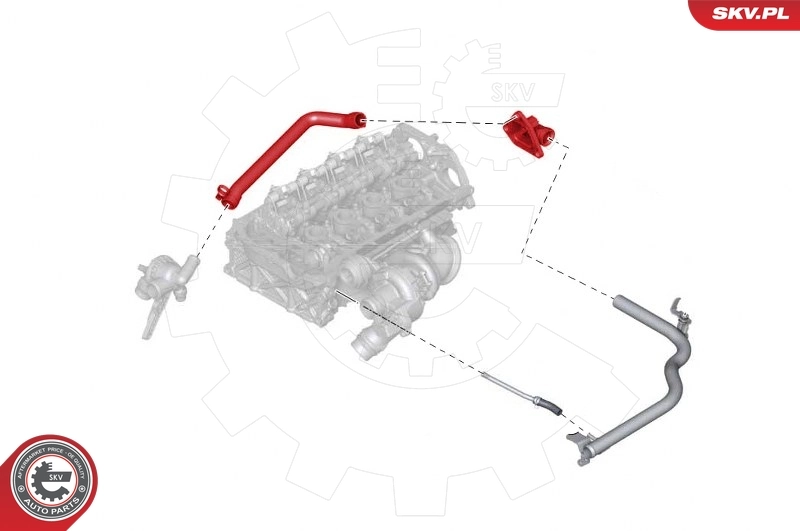 Radiator Hose 43SKV740
