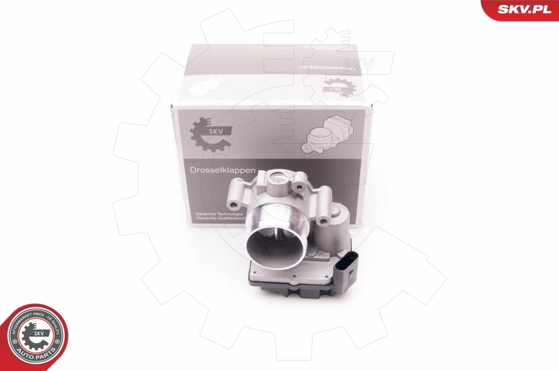 Throttle Body 12SKV064