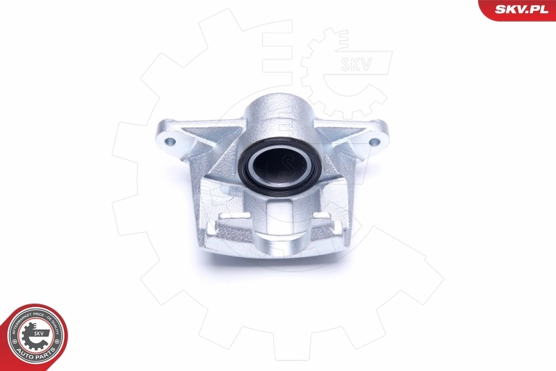 Brake Caliper 42SKV921