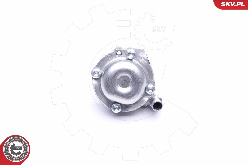 Hydraulic Pump, steering 10SKV170