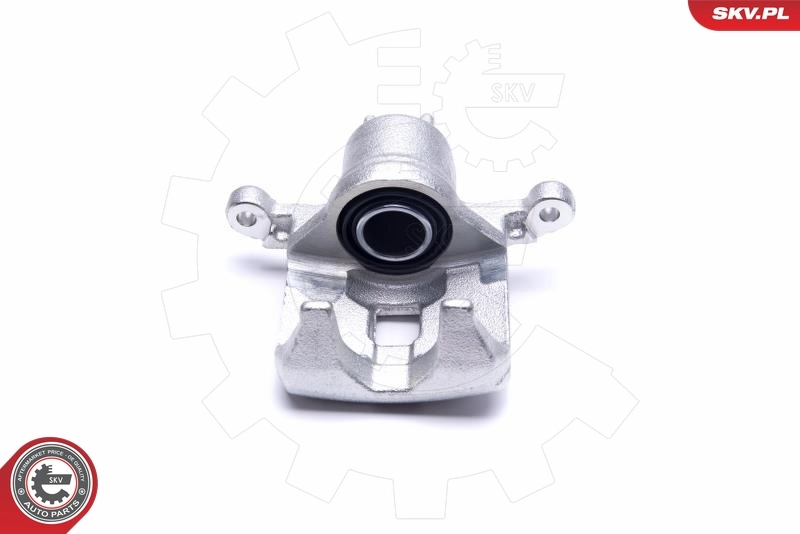 Brake Caliper 55SKV553
