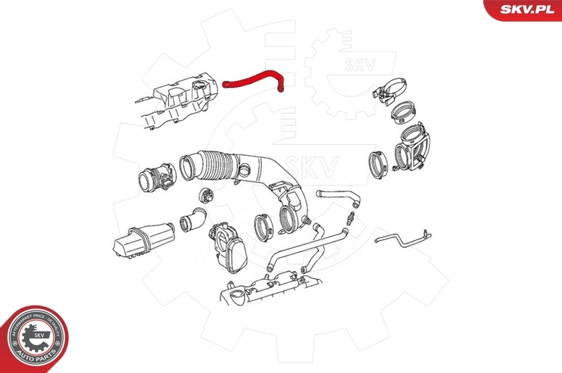 Hose, crankcase ventilation 31SKV117