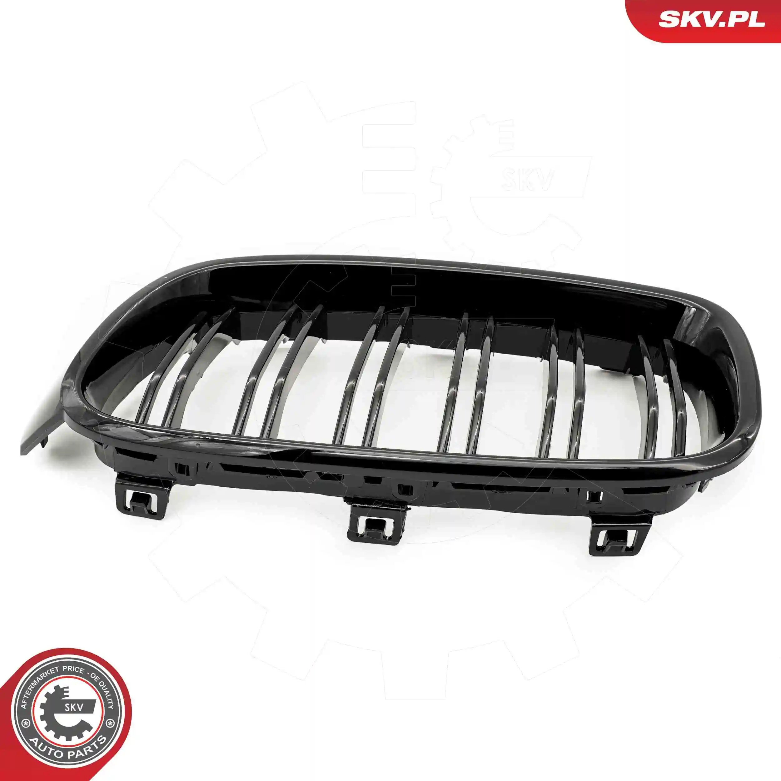 Radiator Grille 66SKV123