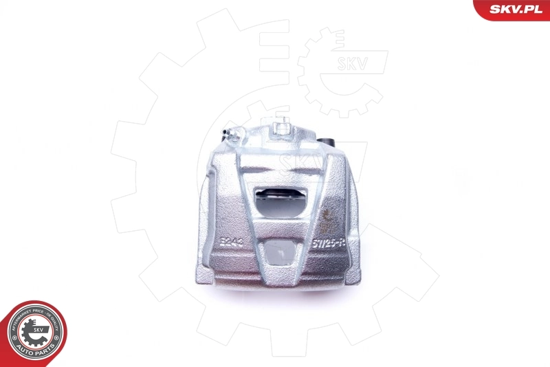 Brake Caliper 42SKV052