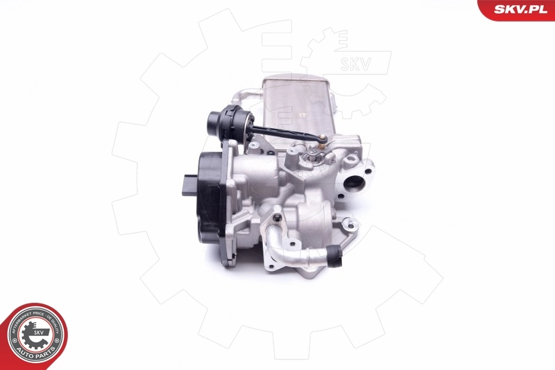 EGR Valve 14SKV154