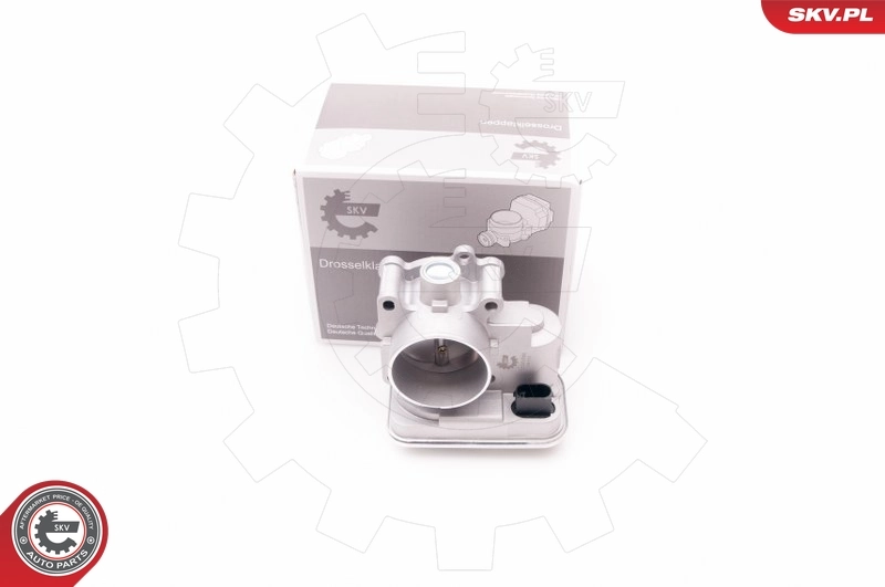 Throttle Body 12SKV066