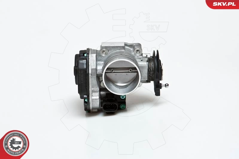 Throttle Body 12SKV023