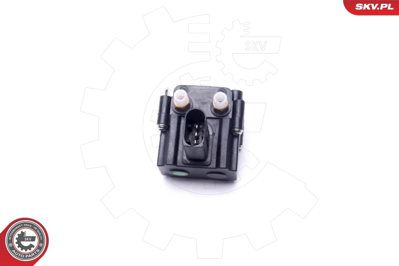 ESEN SKV 93SKV813 Valve, compressed-air system