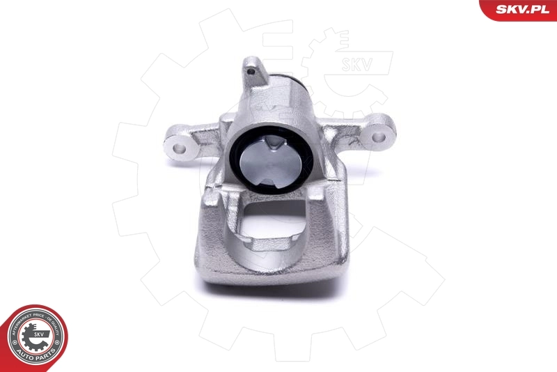 Brake Caliper 44SKV483