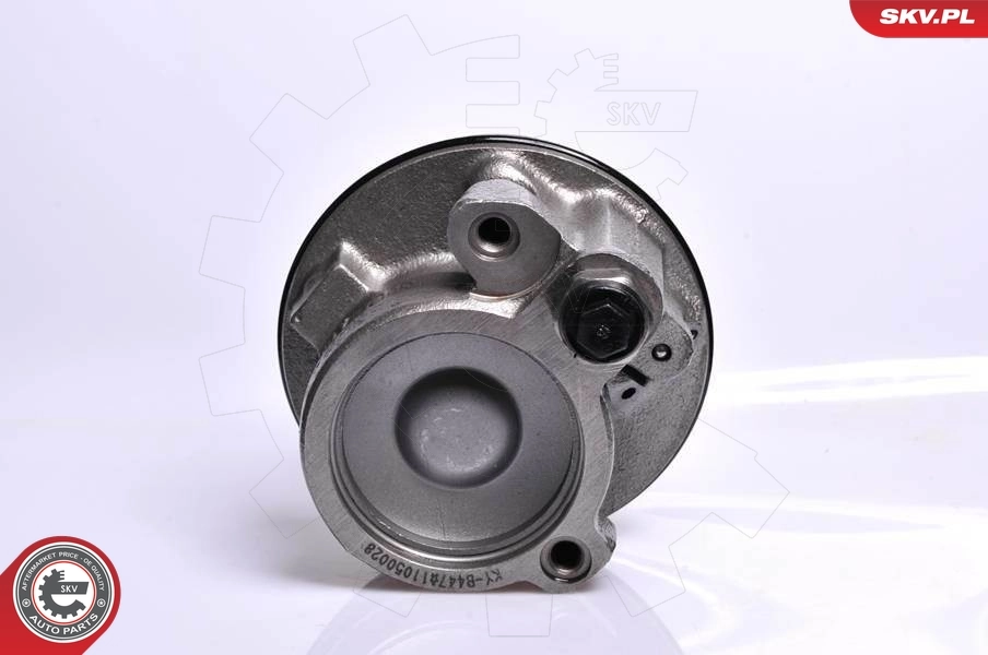 Hydraulic Pump, steering 10SKV128