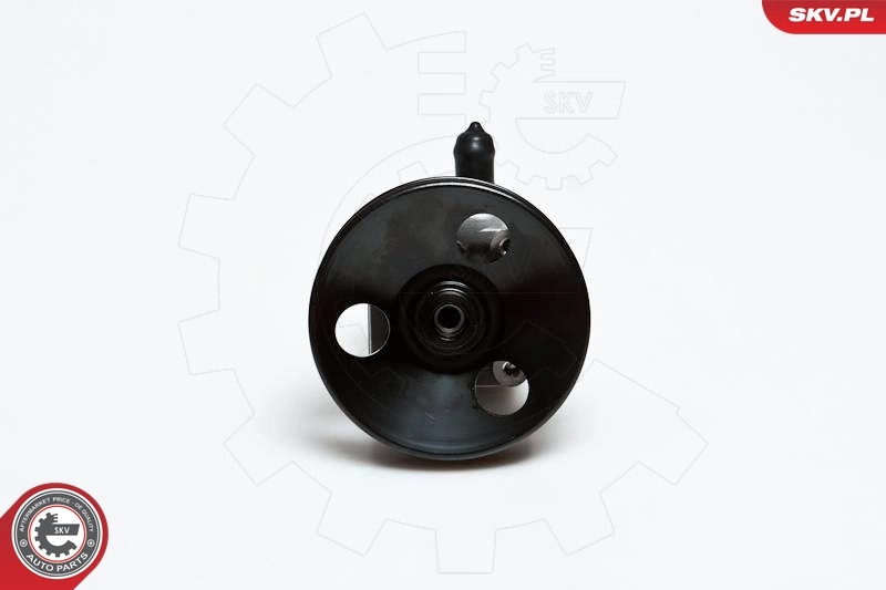 Hydraulic Pump, steering 10SKV027