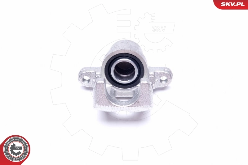 Brake Caliper 45SKV613