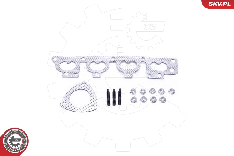 Catalyseur 62SKV006