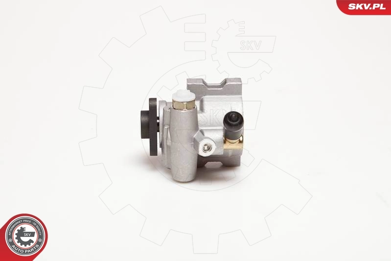 Hydraulic Pump, steering 10SKV055