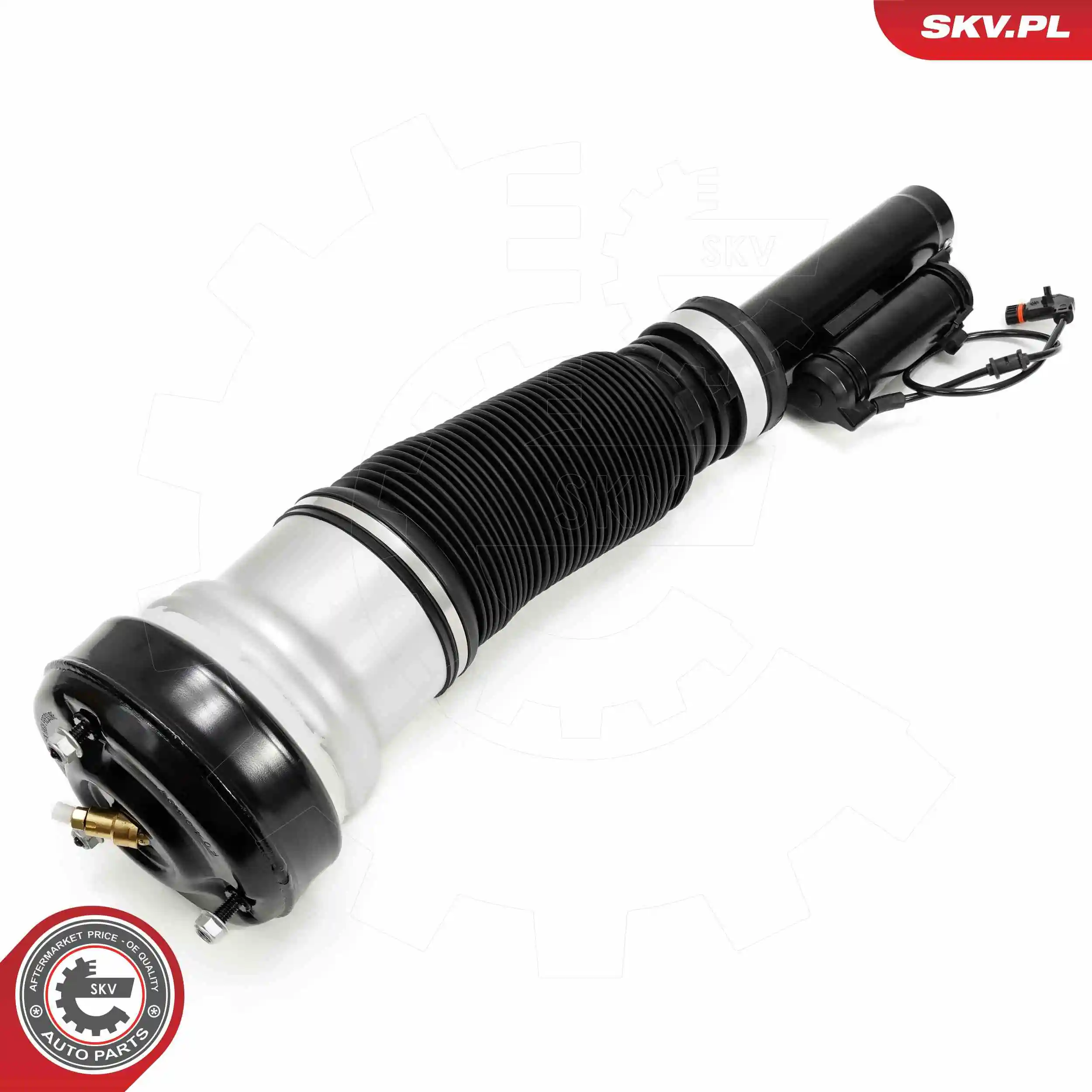 Air Suspension Strut 58SKV718