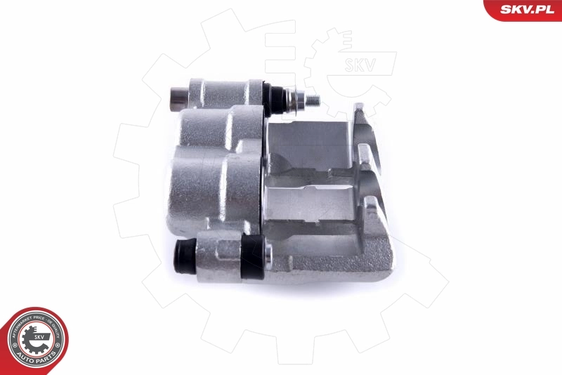 Brake Caliper 50SKV831