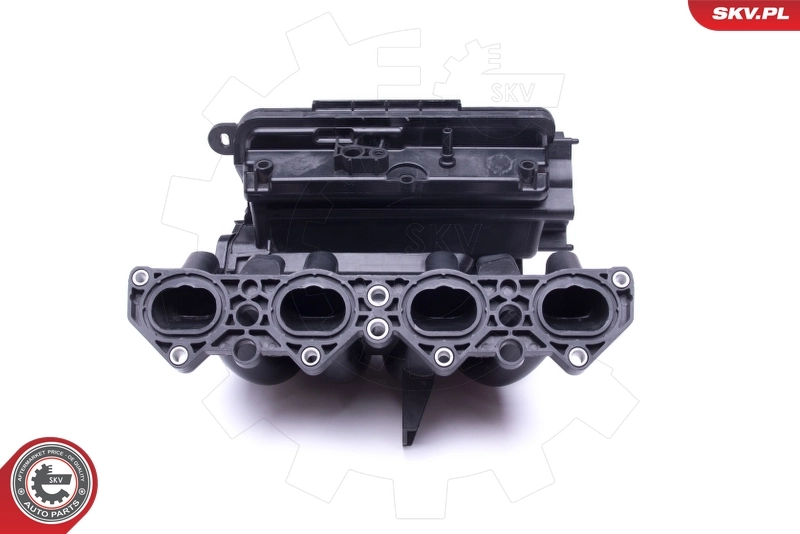 Intake Manifold Module 49SKV046