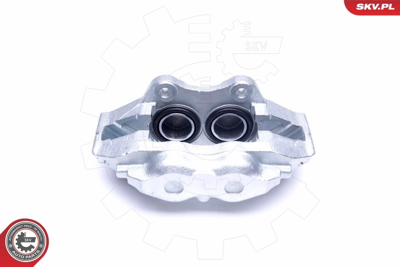 Brake Caliper 45SKV232