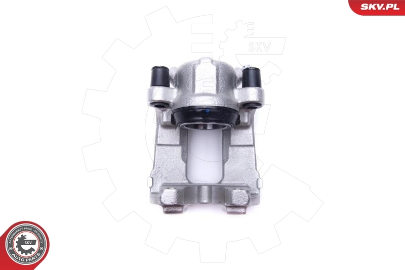Brake Caliper 55SKV991
