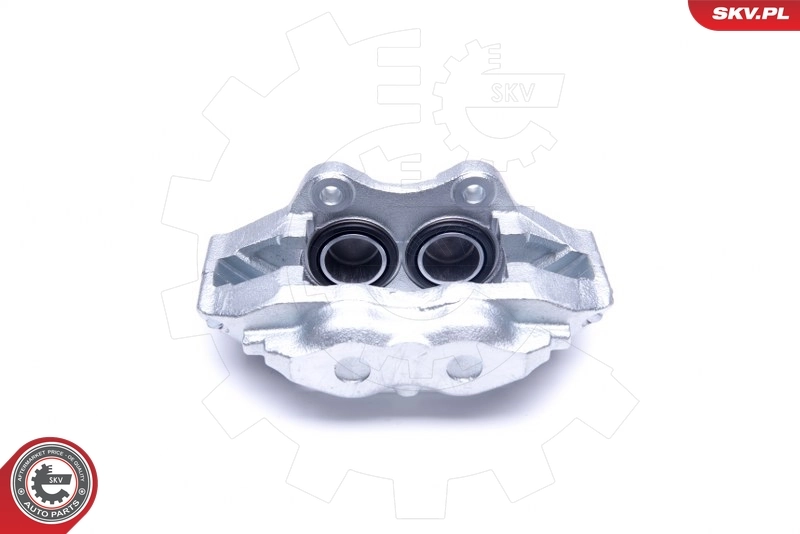 Brake Caliper 45SKV231
