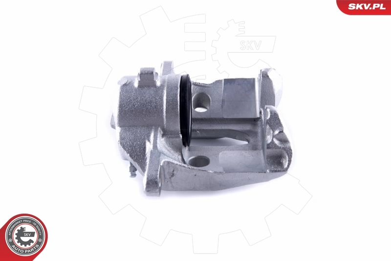Brake Caliper 55SKV171