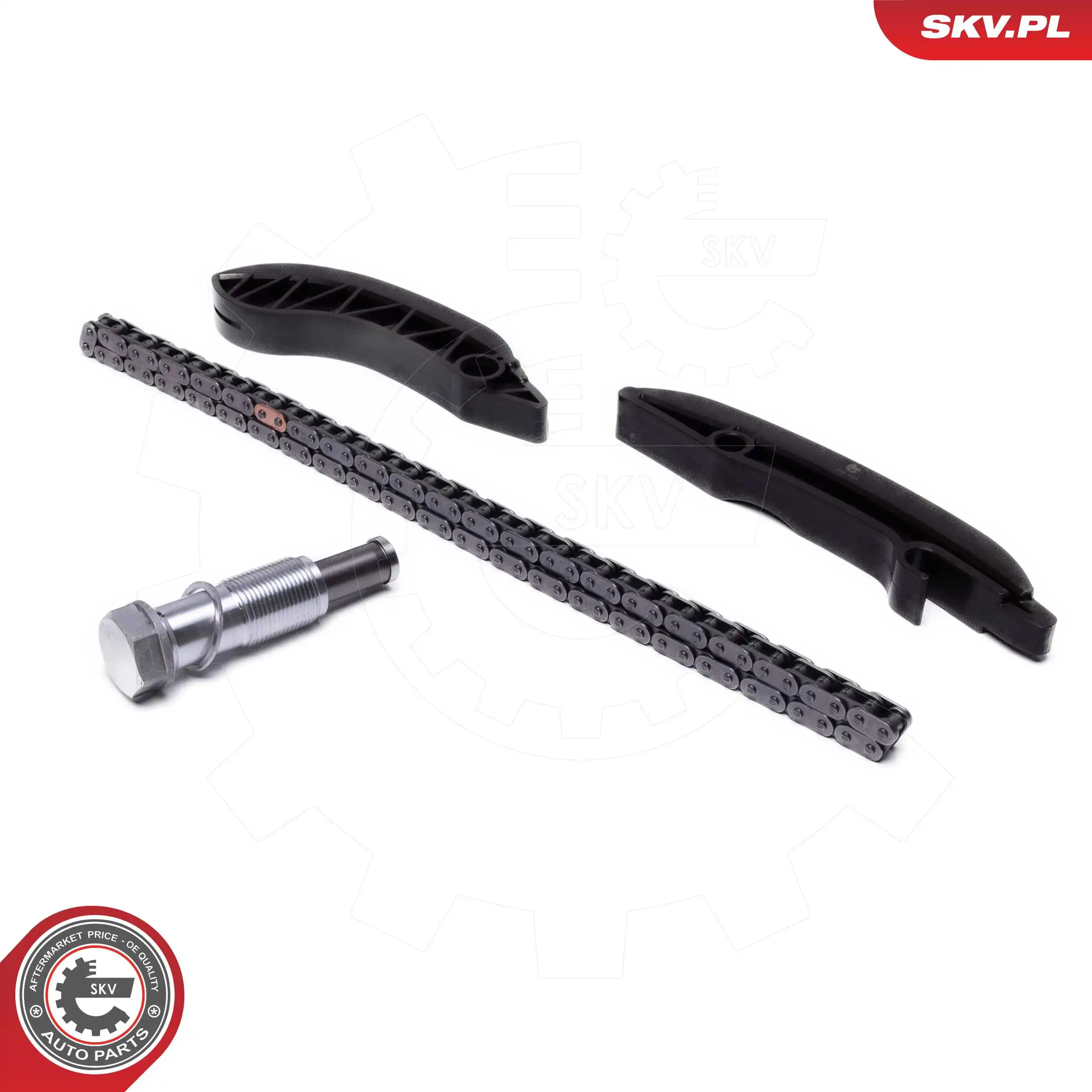 ESEN SKV 21SKV249 Timing Chain Kit