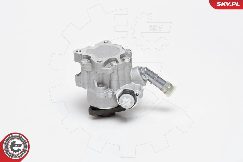 Hydraulic Pump, steering 10SKV129