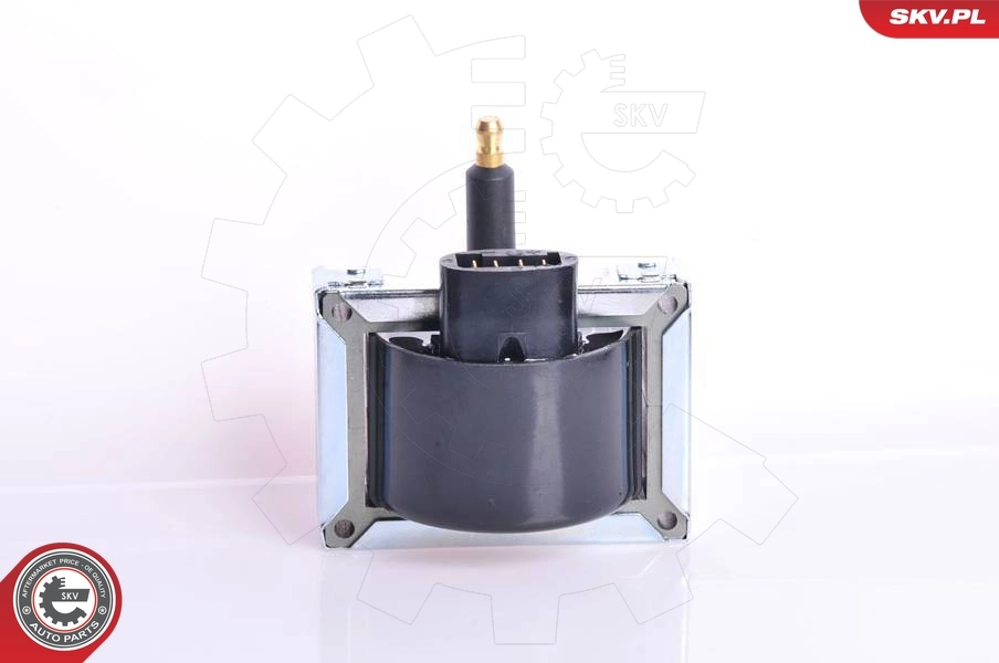 Ignition Coil 03SKV120