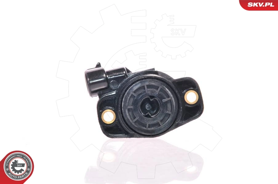 Sensor, throttle position 17SKV004