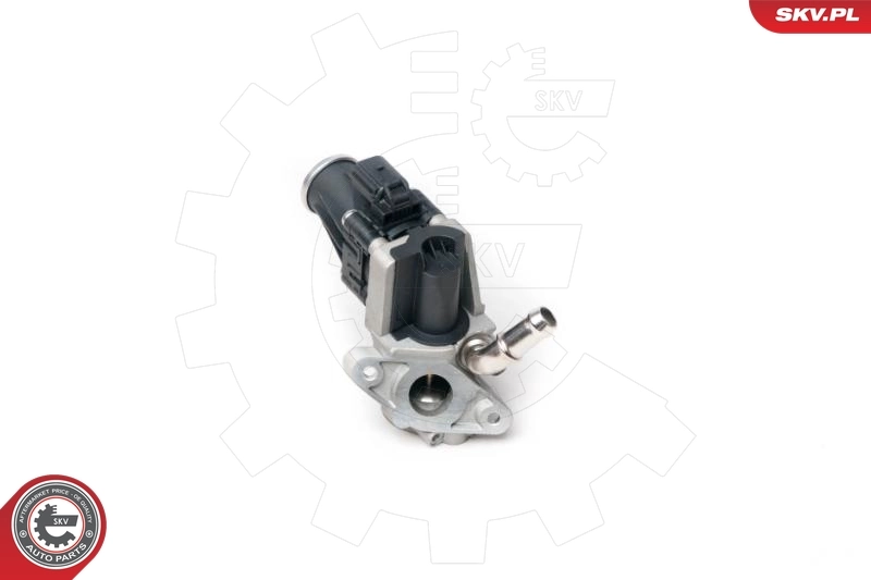EGR Valve 14SKV100