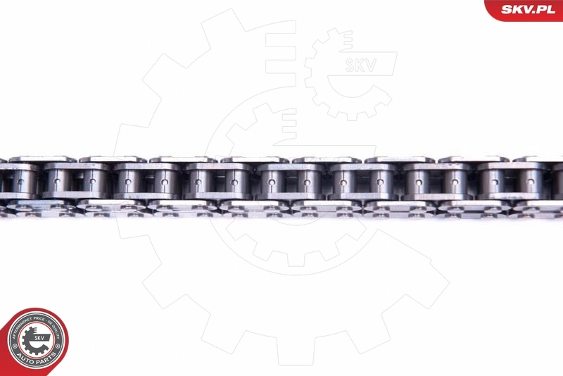 Timing Chain Kit 21SKV189