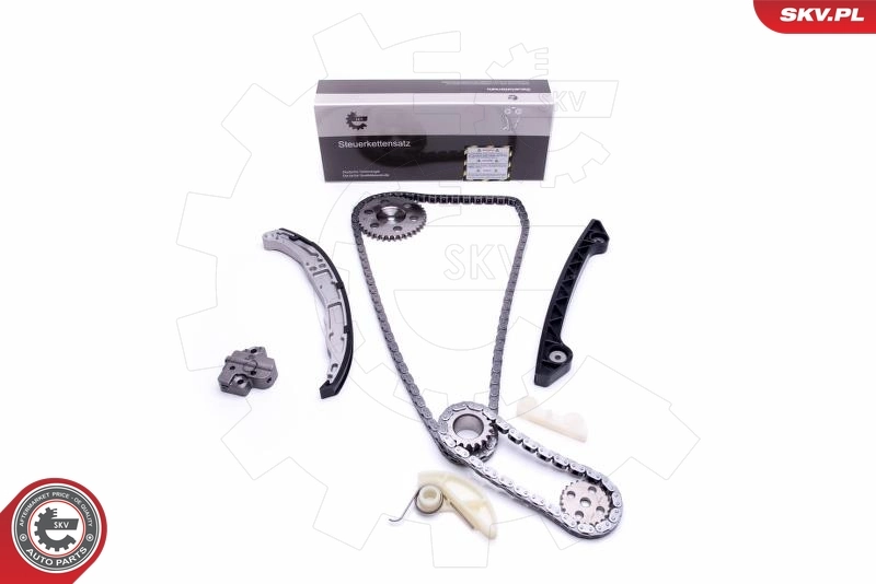 Timing Chain Kit 21SKV242
