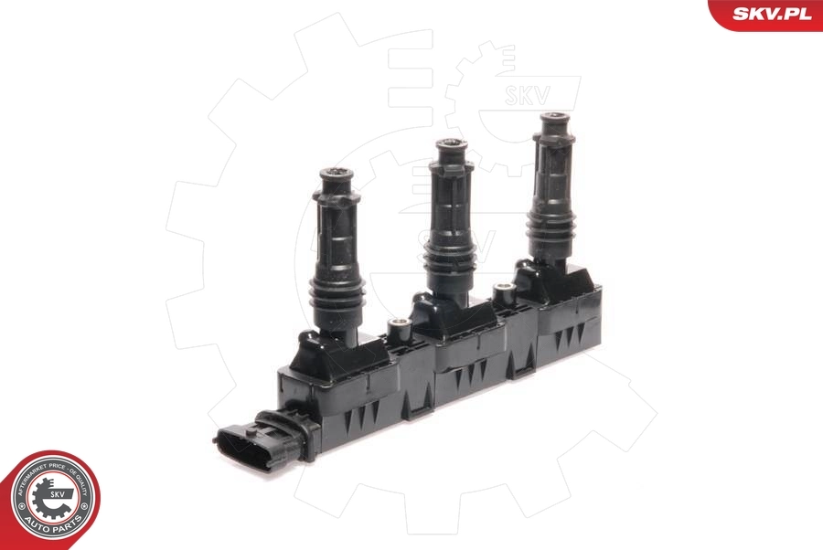 Ignition Coil 03SKV022