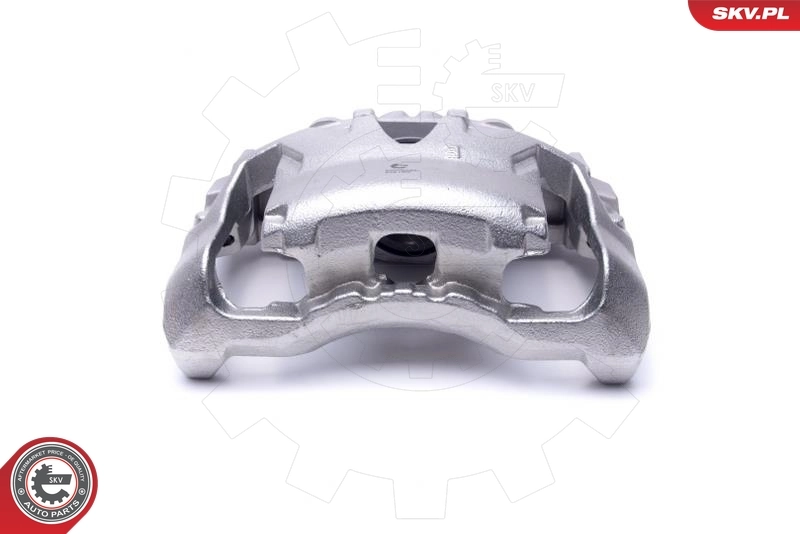 Brake Caliper 55SKV781