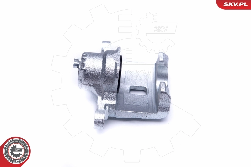 Brake Caliper 42SKV954