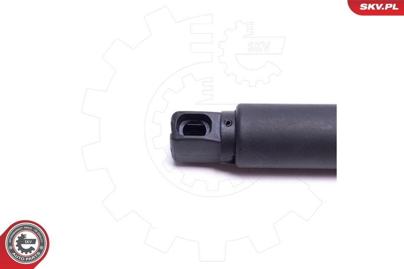 Electric Motor, tailgate 52SKV921