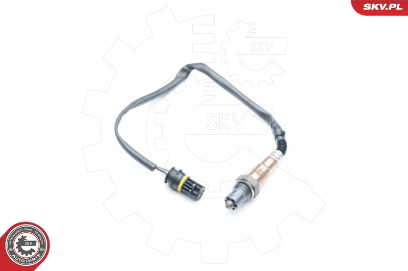 Oxygen Sensor 09SKV684