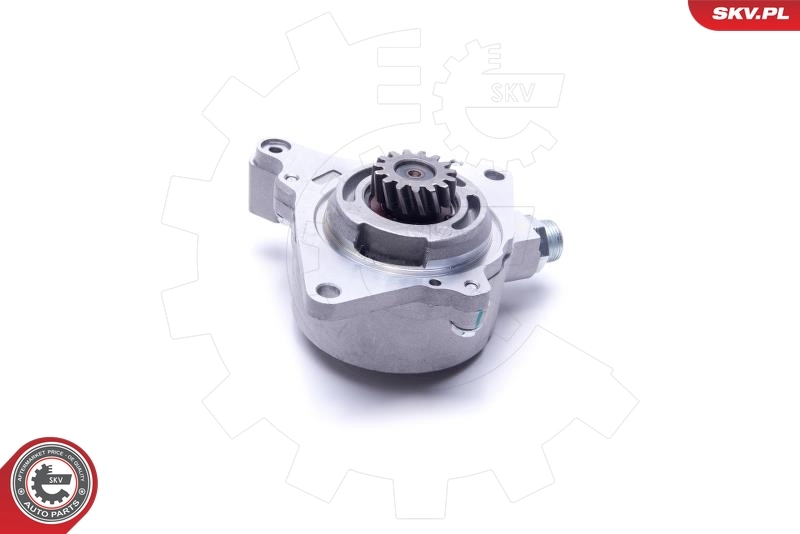Vacuum Pump, braking system 18SKV028