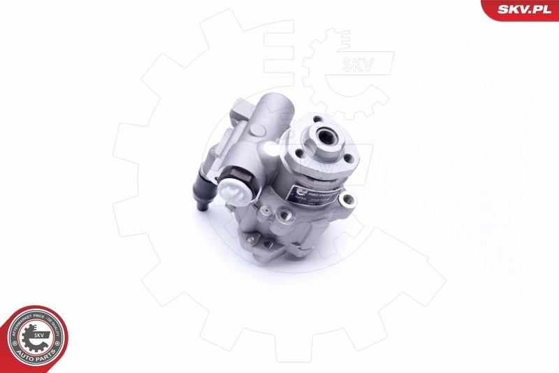 Hydraulic Pump, steering 10SKV256