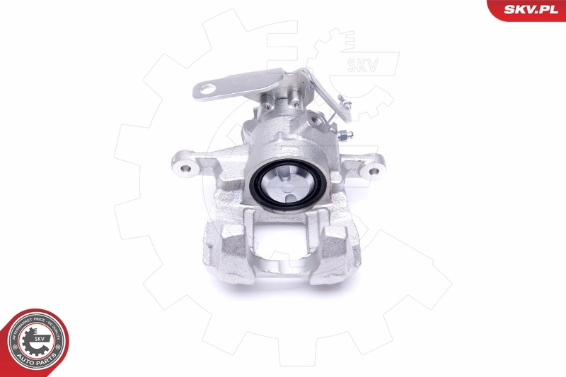 Brake Caliper 50SKV043
