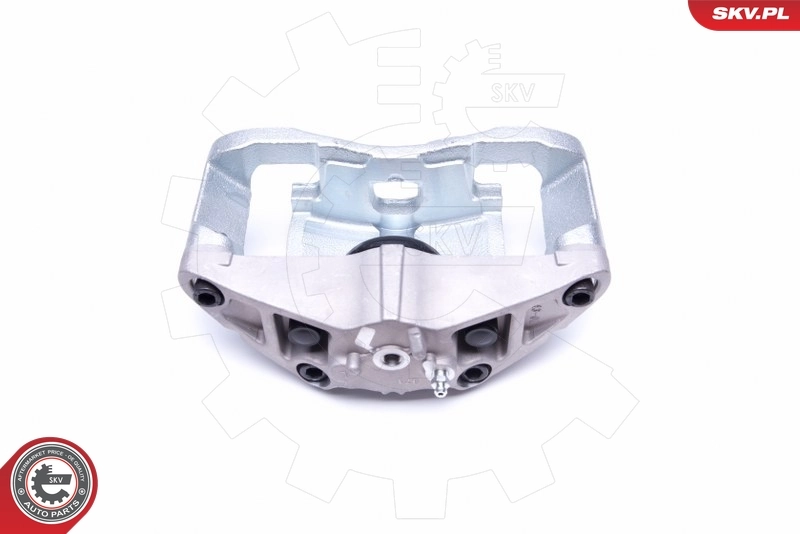 Brake Caliper 44SKV121