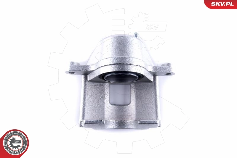 Brake Caliper 55SKV462