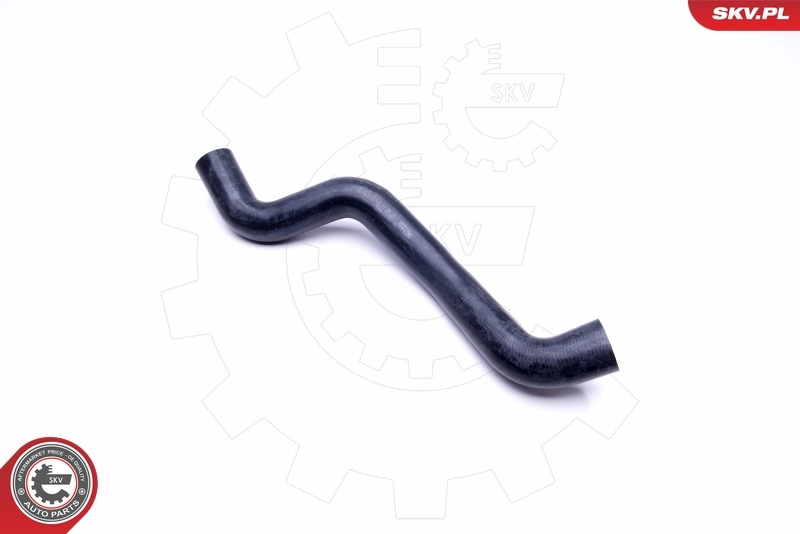 Radiator Hose 43SKV869