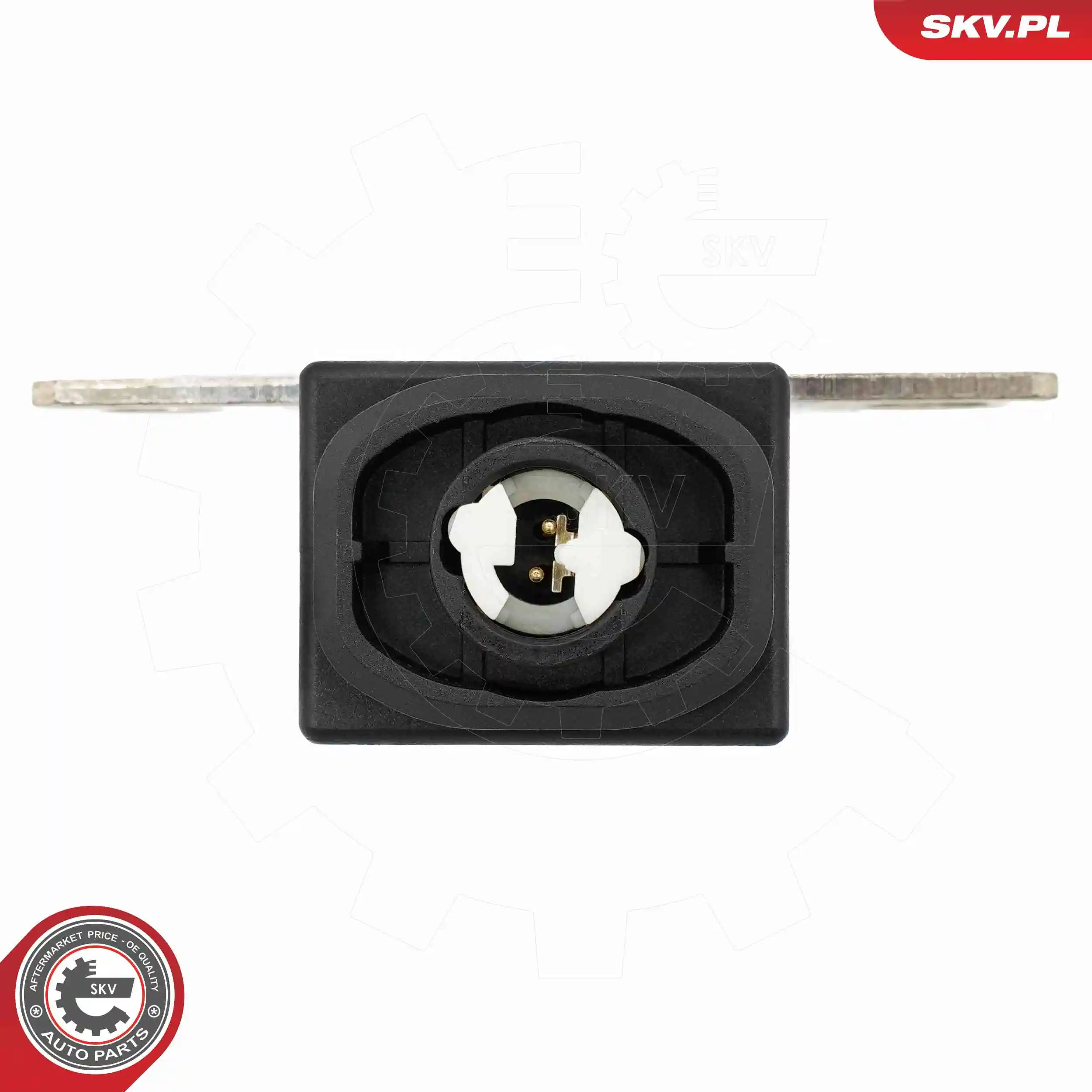 ESEN SKV 96SKV329 Sensor, battery management