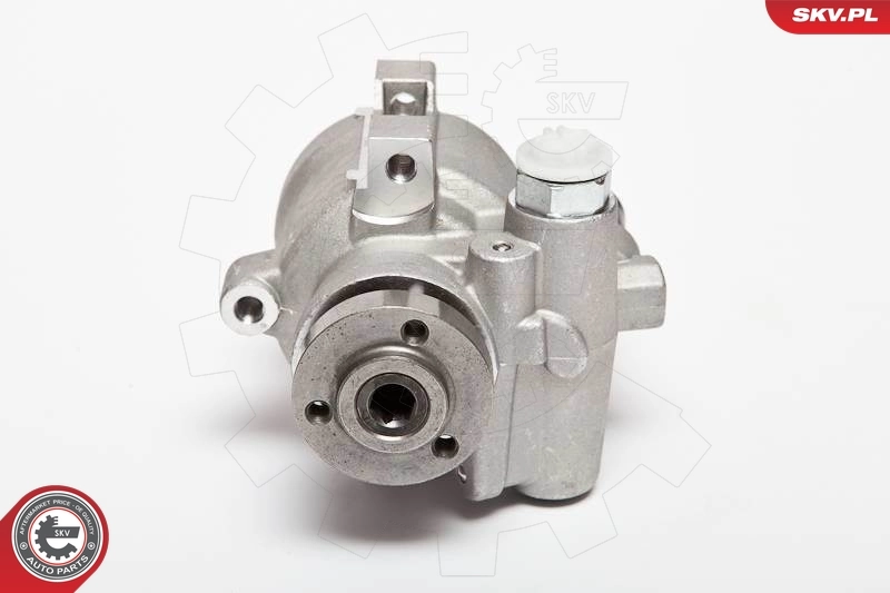 Hydraulic Pump, steering 10SKV089