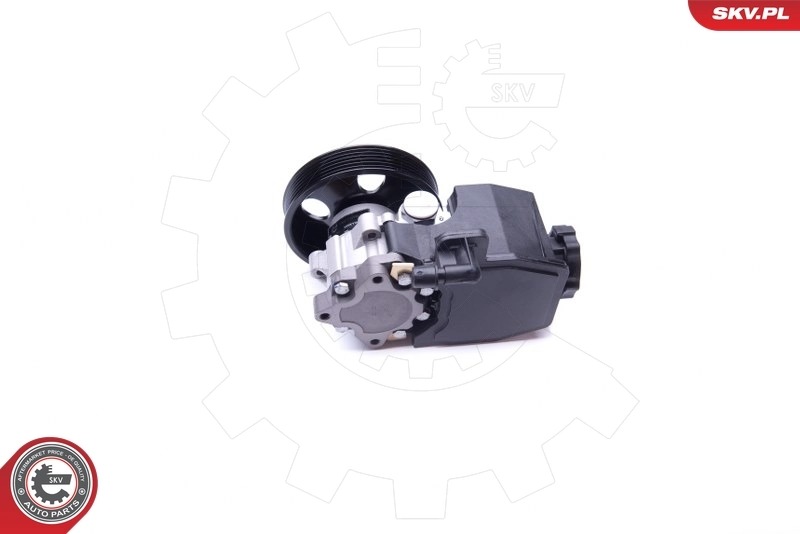 Hydraulic Pump, steering 10SKV269