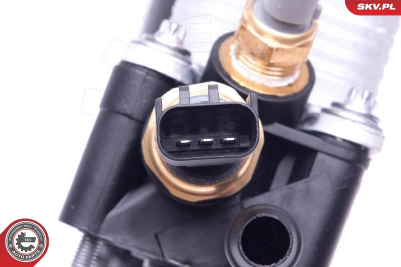 Oil Cooler, engine oil 31SKV172